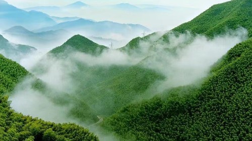 國務院辦公廳印發(fā)《關于鼓勵和支持社會資本參與生態(tài)保護修復的意見